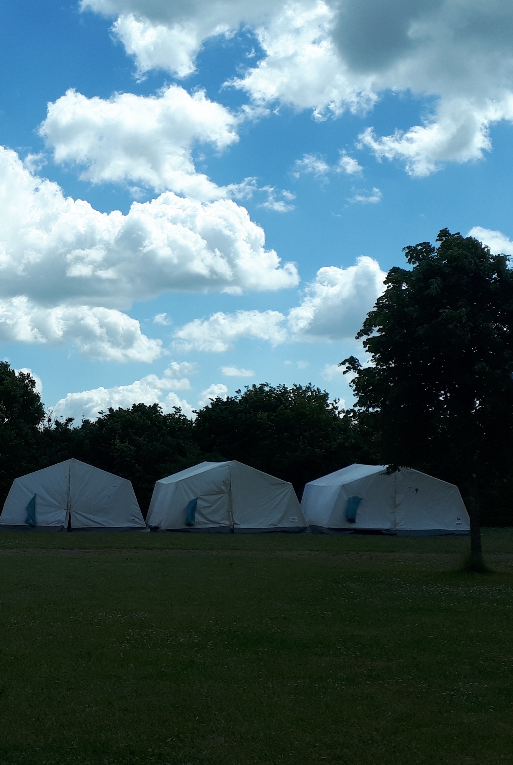 Zeltlager Jugend: Zelte am Morgen